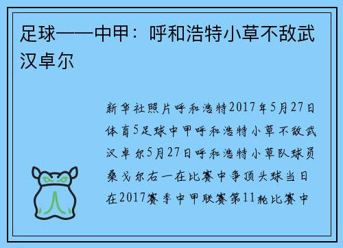 足球——中甲：呼和浩特小草不敌武汉卓尔